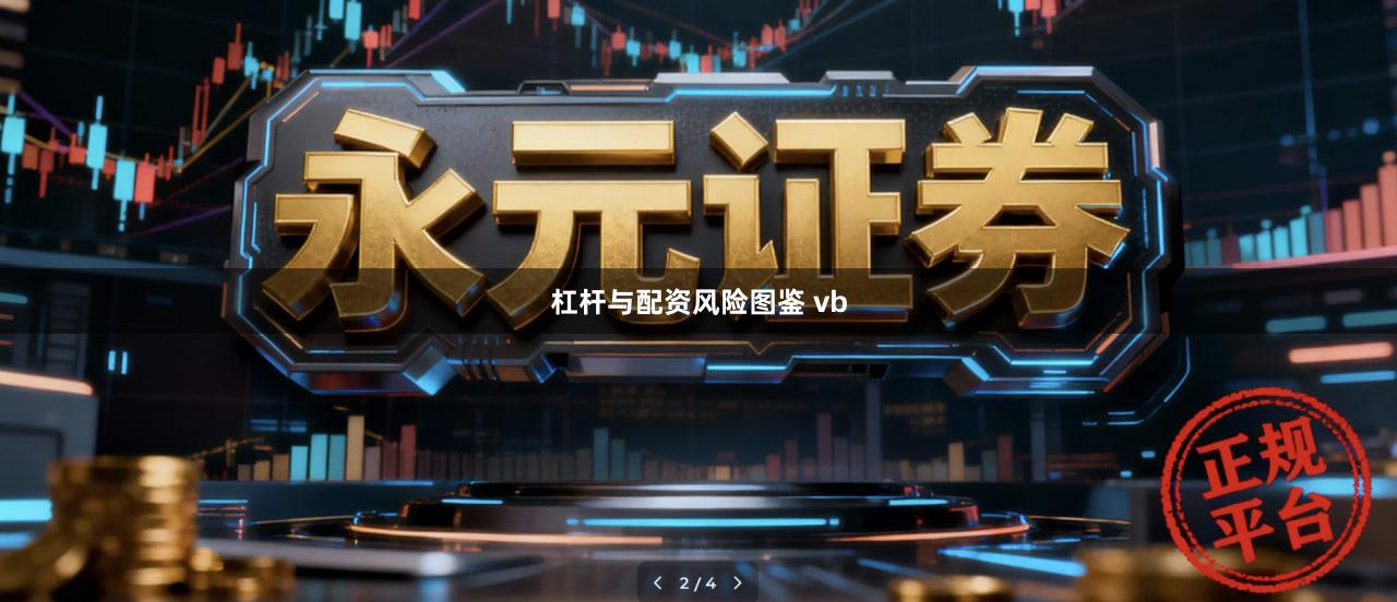 杠杆与配资风险图鉴 vb